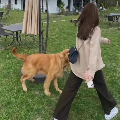 失魂舍伍德第一季